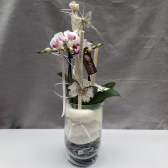 Orchidee im Glas dekoriert